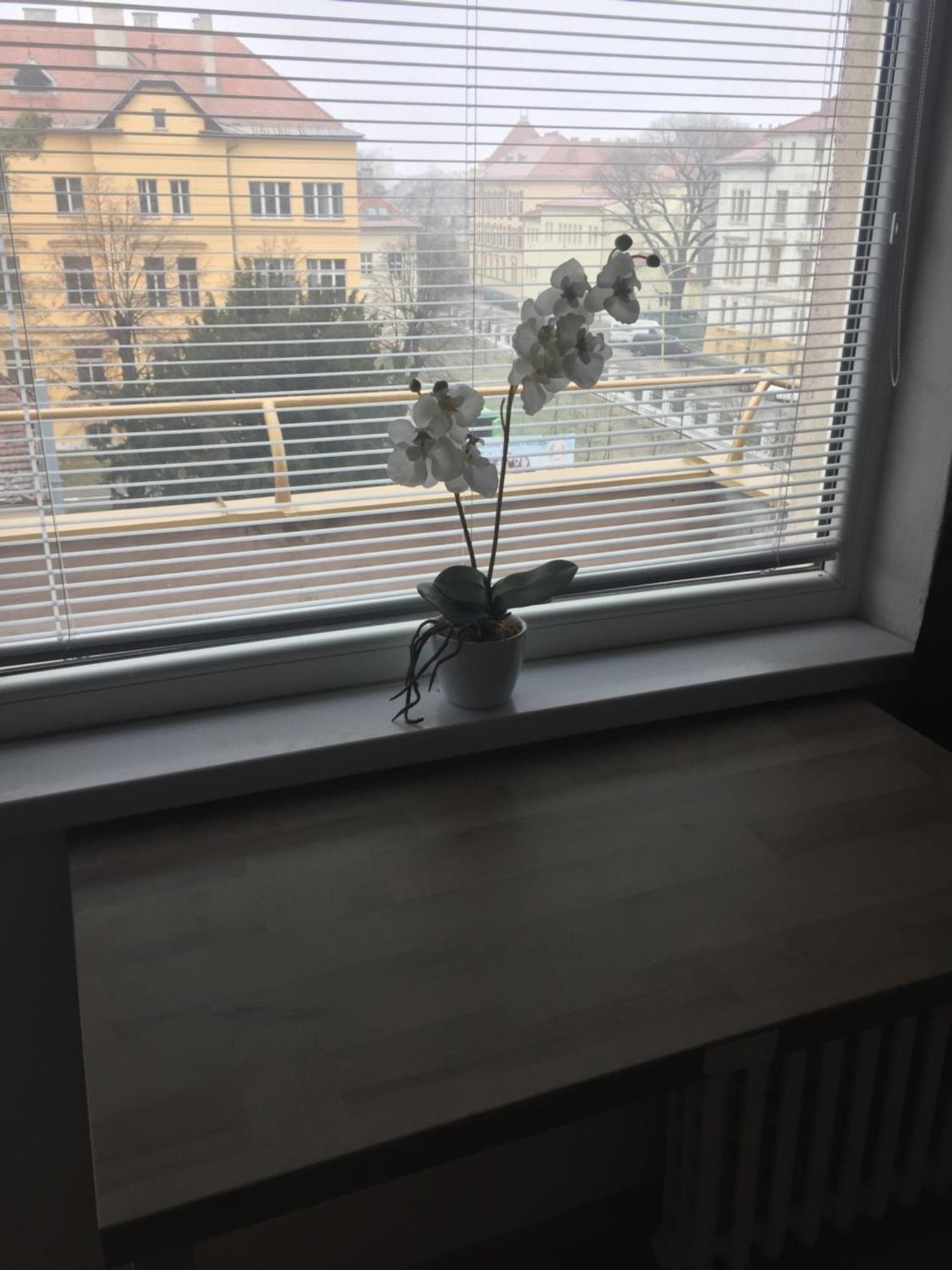 Old Town And Sightseeing Studio Kosice Ngoại thất bức ảnh